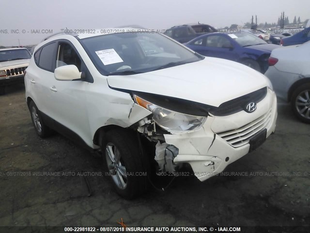 KM8JUCACXAU022242 - 2010 HYUNDAI TUCSON GLS/LIMITED WHITE photo 1