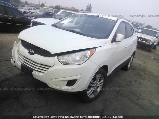 KM8JUCACXAU022242 - 2010 HYUNDAI TUCSON GLS/LIMITED WHITE photo 2