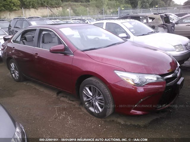 4T1BF1FK3FU955331 - 2015 TOYOTA CAMRY LE/XLE/SE/XSE RED photo 1