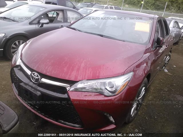 4T1BF1FK3FU955331 - 2015 TOYOTA CAMRY LE/XLE/SE/XSE RED photo 2