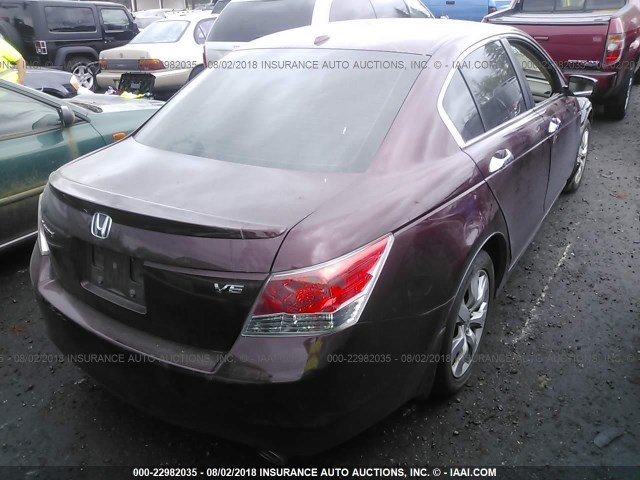 1HGCP36828A030955 - 2008 HONDA ACCORD EXL MAROON photo 4