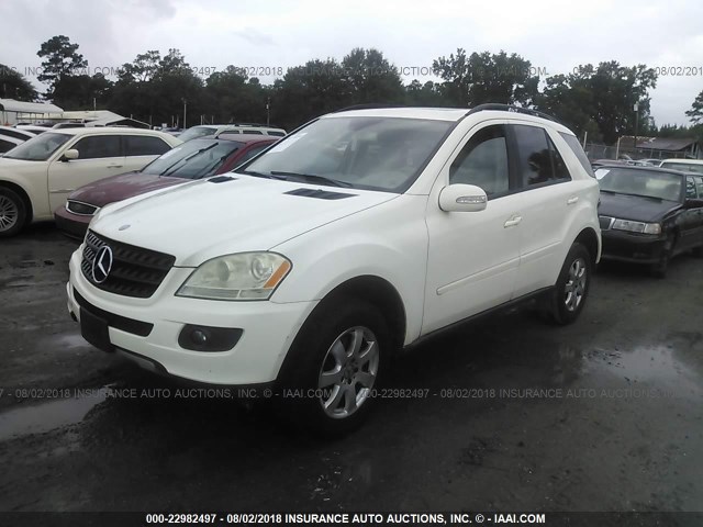 4JGBB86EX6A006486 - 2006 MERCEDES-BENZ ML 350 WHITE photo 2