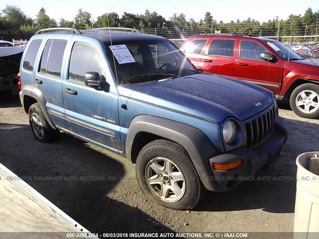 1J4GL48K33W616578 - 2003 JEEP LIBERTY SPORT/FREEDOM ლურჯი ფოტო 1