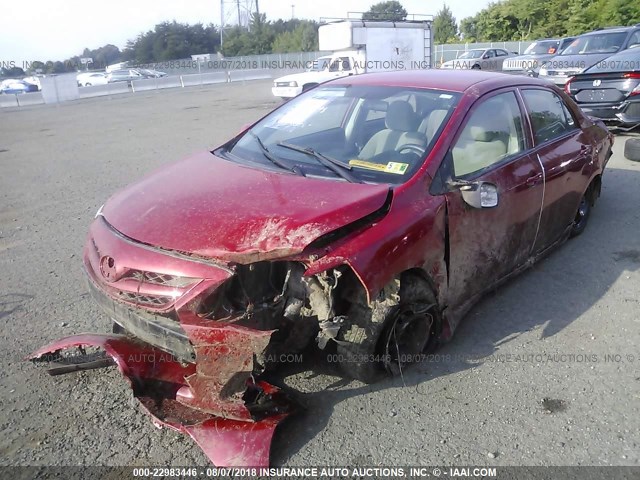 2T1BU4EE3DC013412 - 2013 TOYOTA COROLLA S/LE RED photo 2