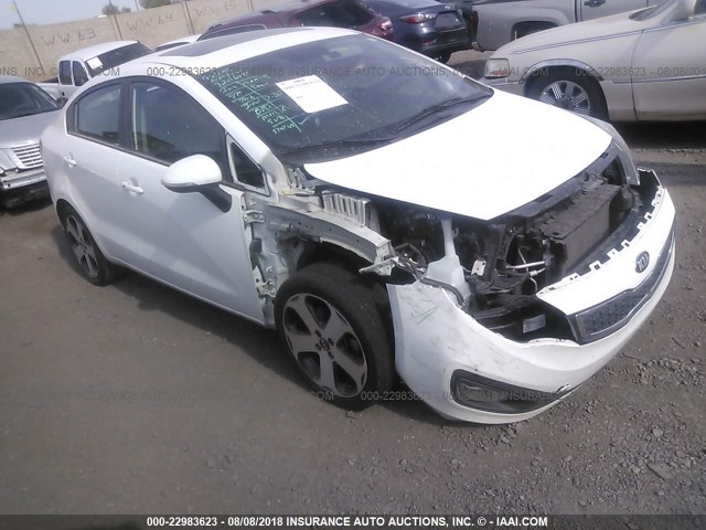 KNADN4A38D6274498 - 2013 KIA RIO EX/SX WHITE photo 1