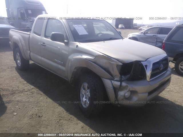 5TEUU42N66Z150919 - 2006 TOYOTA TACOMA ACCESS CAB GOLD photo 1