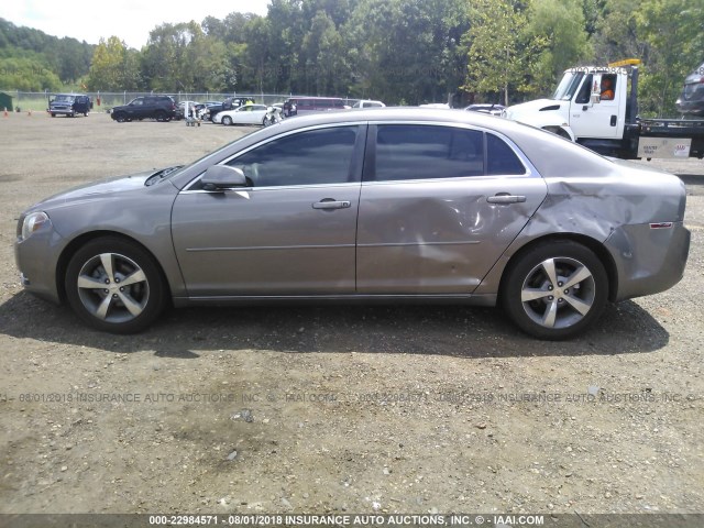 1G1ZC5E17BF111649 - 2011 CHEVROLET MALIBU 1LT ოქროსფერი ფოტო 6
