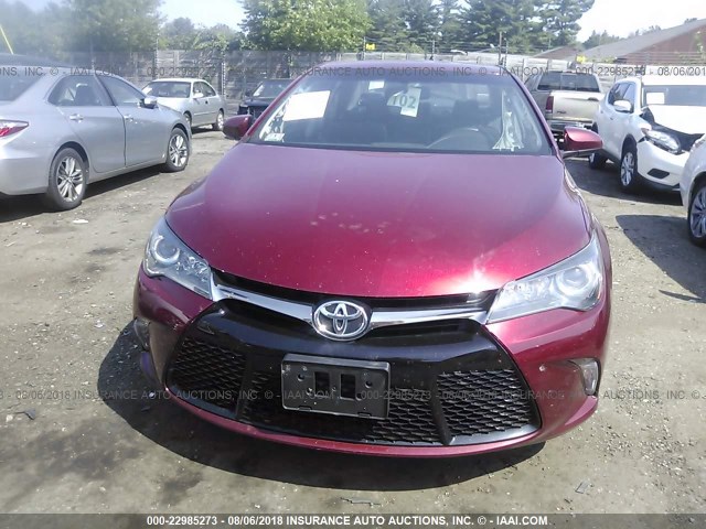 4T1BF1FK0HU616514 - 2017 TOYOTA CAMRY LE/XLE/SE/XSE 栗色 照片 6