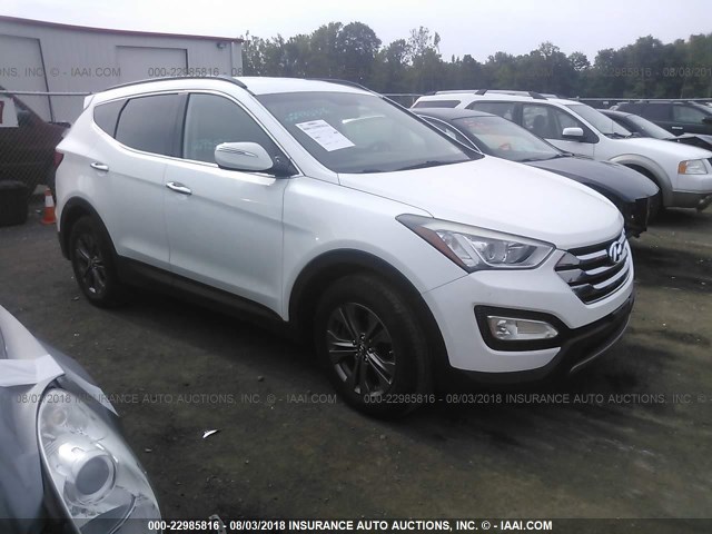 5XYZUDLB3DG060726 - 2013 HYUNDAI SANTA FE SPORT  WHITE photo 1