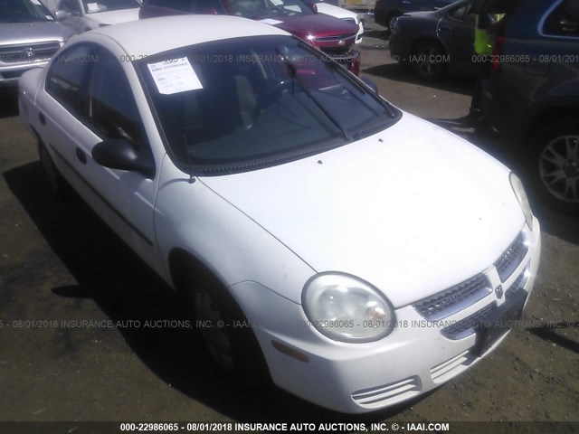 1B3ES26C14D588147 - 2004 DODGE NEON SE WHITE photo 1