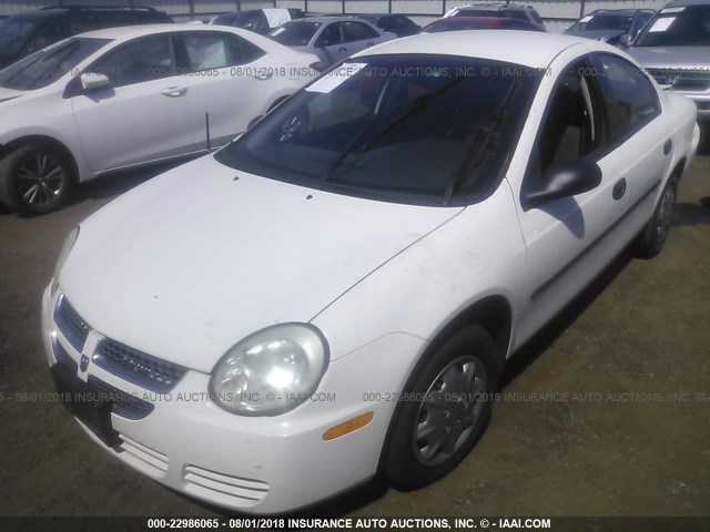 1B3ES26C14D588147 - 2004 DODGE NEON SE WHITE photo 2