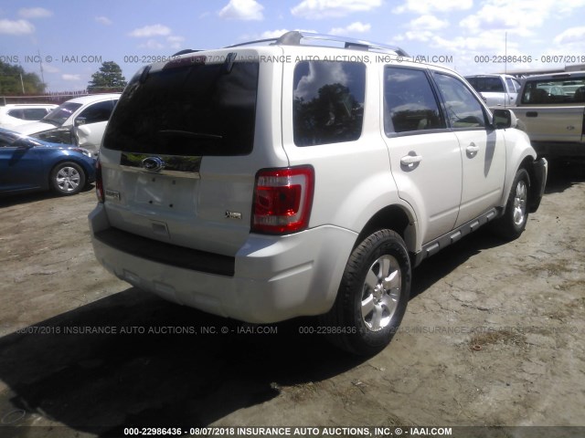 1FMCU0EGXBKA15213 - 2011 FORD ESCAPE LIMITED WHITE photo 4