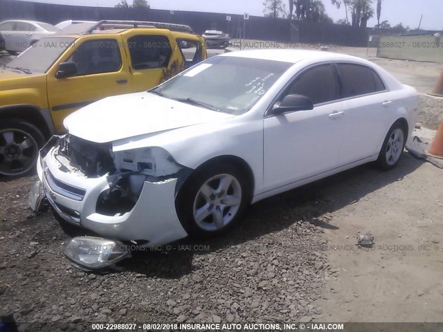 1G1ZA5EB5AF302046 - 2010 CHEVROLET MALIBU LS WHITE photo 2