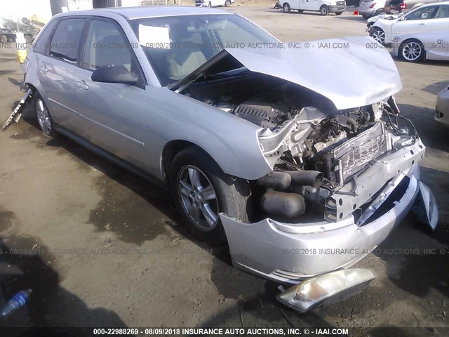 1G1ZT62825F185394 - 2005 CHEVROLET MALIBU MAXX LS SILVER photo 1