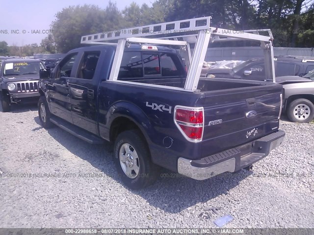 1FTFW1EF2DKF16253 - 2013 FORD F150 SUPERCREW BLUE photo 3