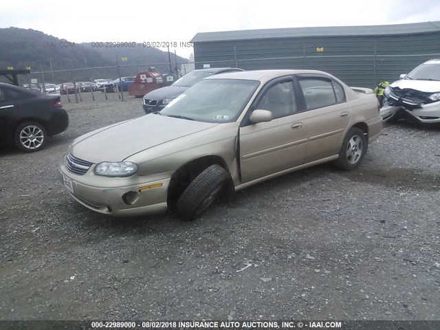 1G1NE52J23M635138 - 2003 CHEVROLET MALIBU LS 金色 照片 2