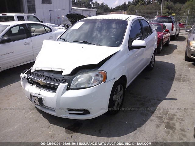 KL1TD5DE7BB134135 - 2011 CHEVROLET AVEO LS/LT WHITE photo 2