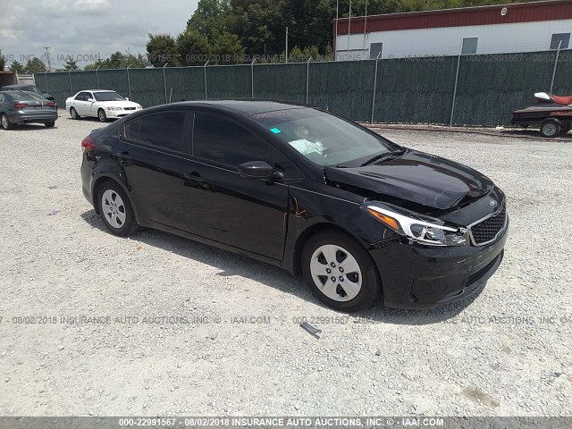 3KPFL4A71HE091884 - 2017 KIA FORTE LX/S BLACK photo 1