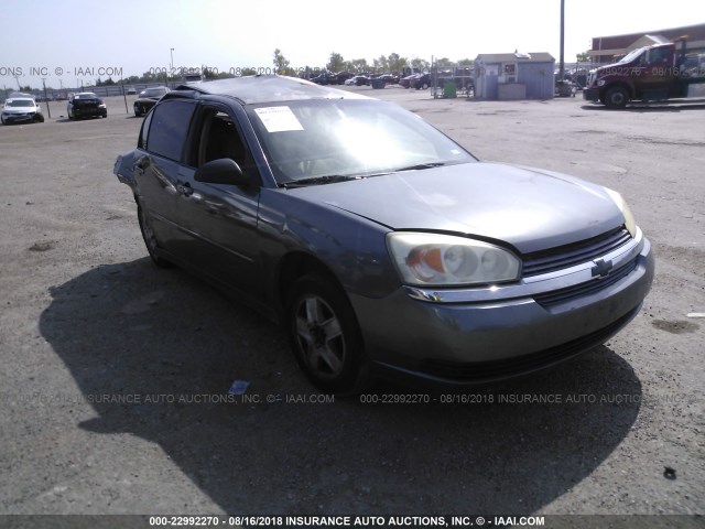 1G1ZT54885F160023 - 2005 CHEVROLET MALIBU LS ლურჯი ფოტო 1