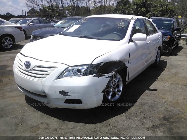 4T1BE46K39U908261 - 2009 TOYOTA CAMRY SE/LE/XLE თეთრი ფოტო 2