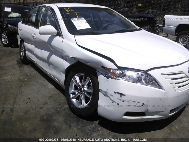 4T1BE46K39U908261 - 2009 TOYOTA CAMRY SE/LE/XLE თეთრი ფოტო 6