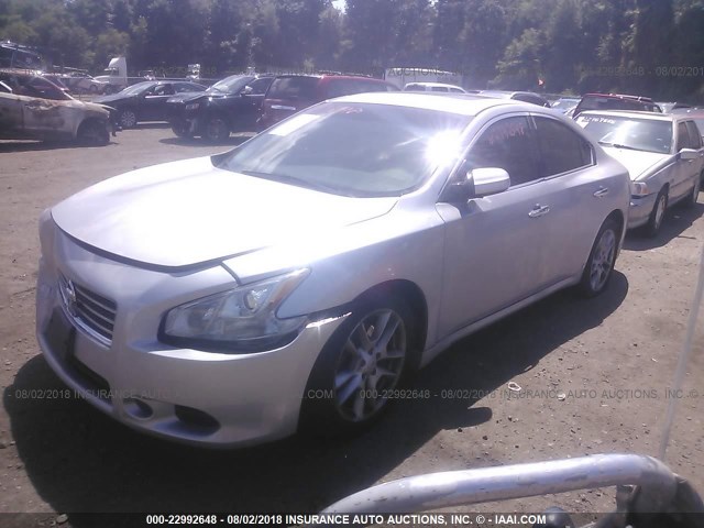 1N4AA5APXAC822157 - 2010 NISSAN MAXIMA S/SV SILVER photo 2