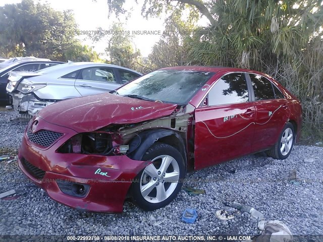 4T1BF3EK1BU178882 - 2011 TOYOTA CAMRY SE/LE/XLE BURGUNDY photo 2