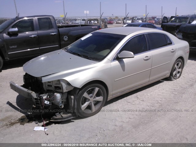 1G1ZC5E16BF318694 - 2011 CHEVROLET MALIBU 1LT თაფლისფერი ფოტო 2