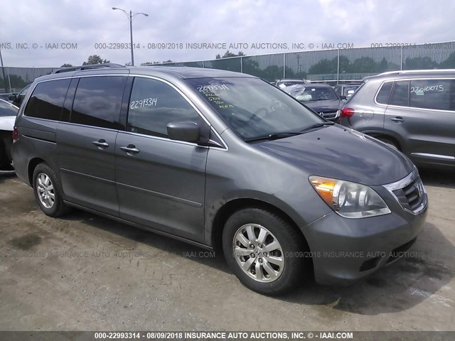 5FNRL38788B093445 - 2008 HONDA ODYSSEY EXL Light Blue photo 1