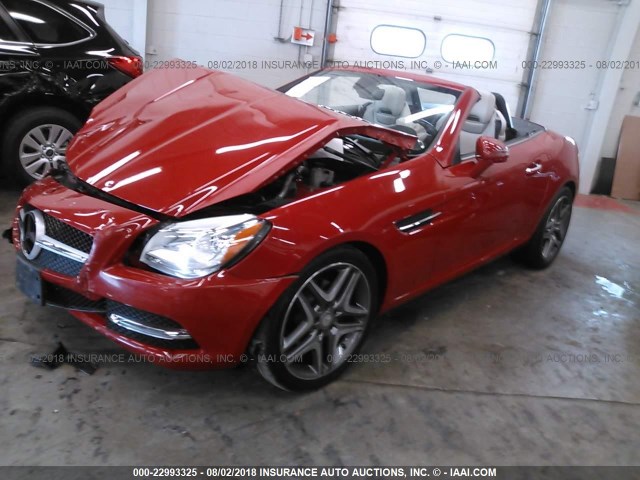 WDDPK4HA7DF060573 - 2013 MERCEDES-BENZ SLK 250 RED photo 2