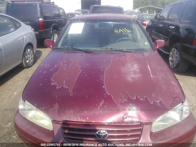 JT2BG22K4W0136292 - 1998 TOYOTA CAMRY CE/LE/XLE RED photo 6