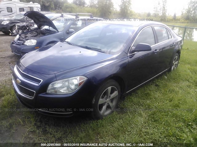1G1ZC5E16BF300714 - 2011 CHEVROLET MALIBU 1LT 蓝色 照片 2
