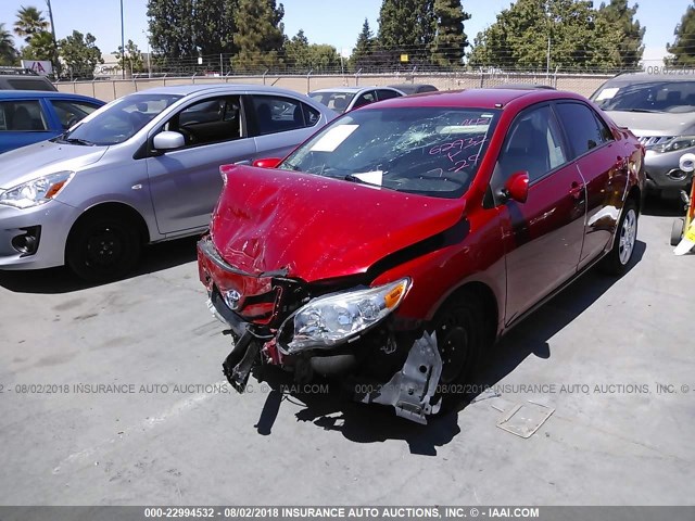 2T1BU4EE8CC823830 - 2012 TOYOTA COROLLA S/LE RED photo 2