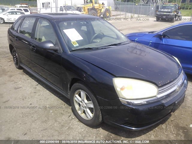 1G1ZT62824F178623 - 2004 CHEVROLET MALIBU MAXX LS 蓝色 照片 1