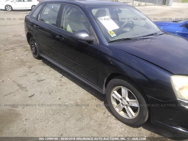 1G1ZT62824F178623 - 2004 CHEVROLET MALIBU MAXX LS 蓝色 照片 6