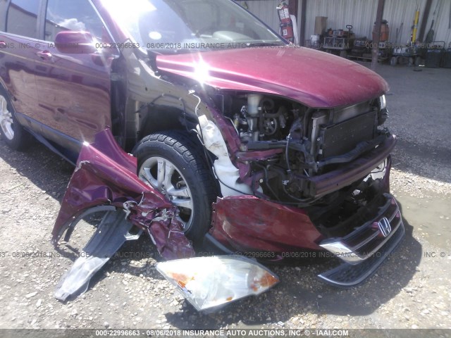 5J6RE3H76BL032555 - 2011 HONDA CR-V EXL MAROON photo 6