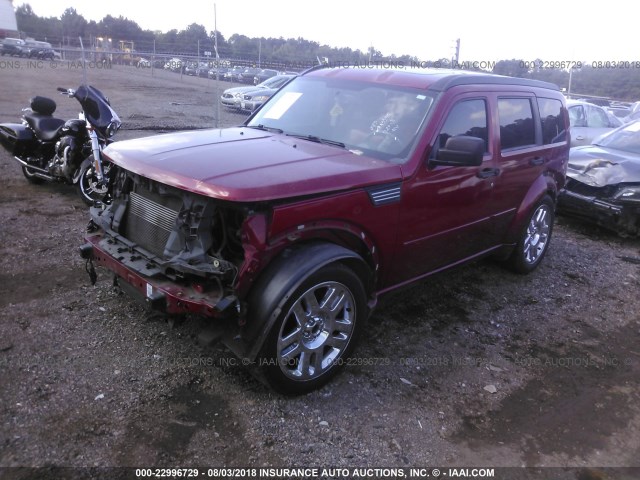 1D8GU58668W197128 - 2008 DODGE NITRO R/T RED photo 2