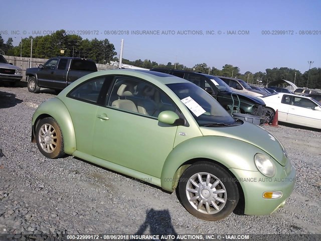 3VWDD21C52M401843 - 2002 VOLKSWAGEN NEW BEETLE GLX 绿色 照片 1