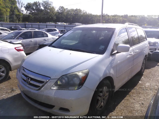 5FNRL38785B009975 - 2005 HONDA ODYSSEY EXL WHITE photo 2