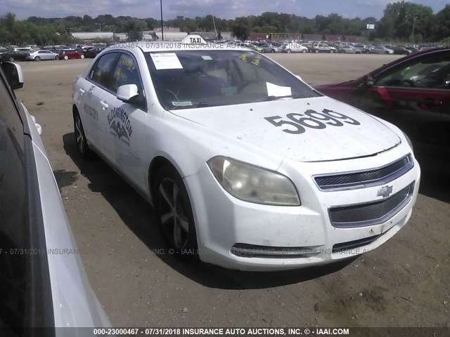 1G1ZC5E11BF382111 - 2011 CHEVROLET MALIBU 1LT 白色 照片 1