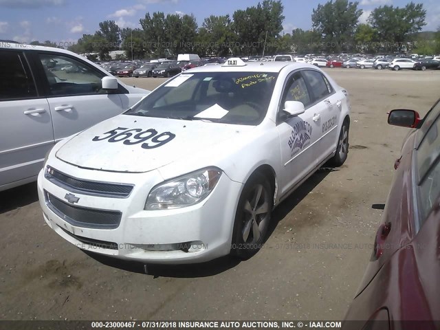1G1ZC5E11BF382111 - 2011 CHEVROLET MALIBU 1LT 白色 照片 2