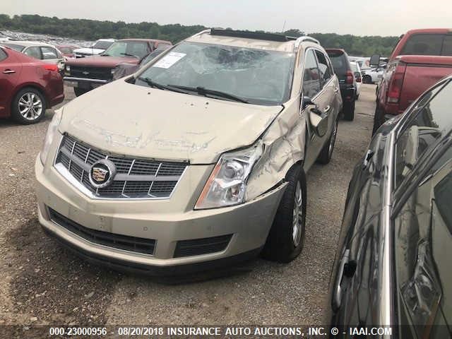 3GYFNDEY7BS537729 - 2011 CADILLAC SRX LUXURY COLLECTION GOLD photo 2