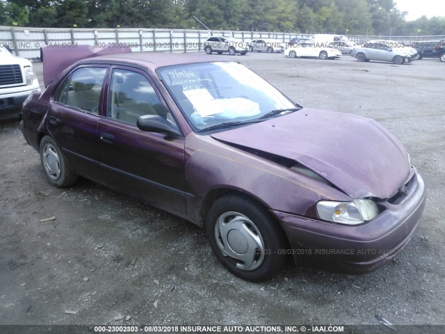 1NXBR12E9WZ017910 - 1998 TOYOTA COROLLA VE/CE/LE 勃艮第红 照片 1