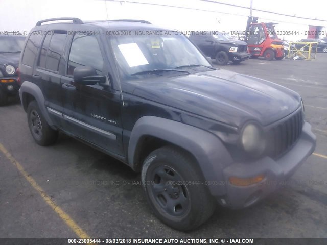 1J4GL48K13W592300 - 2003 JEEP LIBERTY SPORT/FREEDOM BLACK photo 1