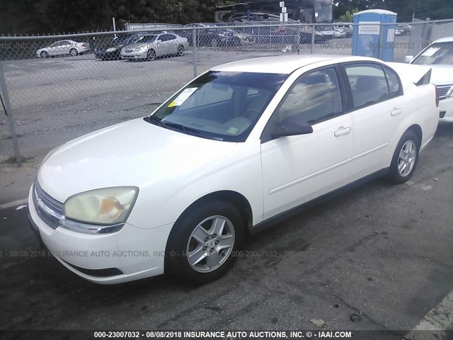 1G1ZT52865F129050 - 2005 CHEVROLET MALIBU LS Ақ фото 2