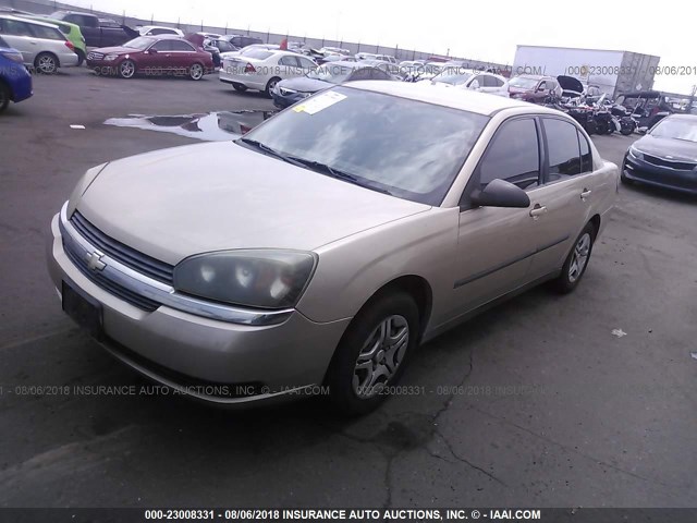 1G1ZS52F65F326026 - 2005 CHEVROLET MALIBU GOLD photo 2