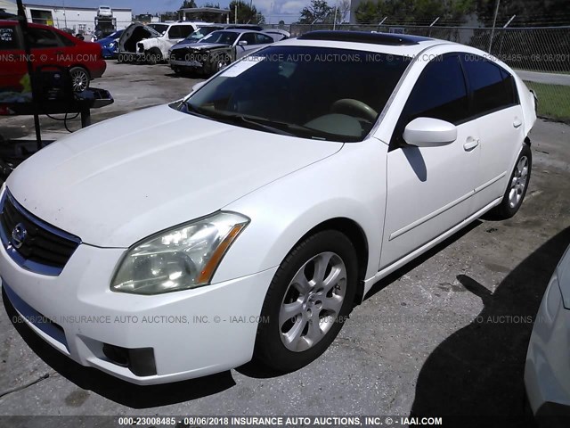 1N4BA41E58C817861 - 2008 NISSAN MAXIMA SE/SL WHITE photo 2