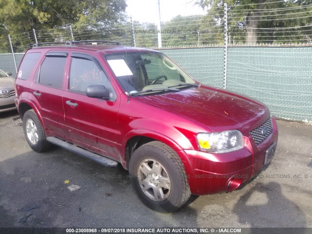 1FMYU03107KB68694 - 2007 FORD ESCAPE XLT RED photo 1