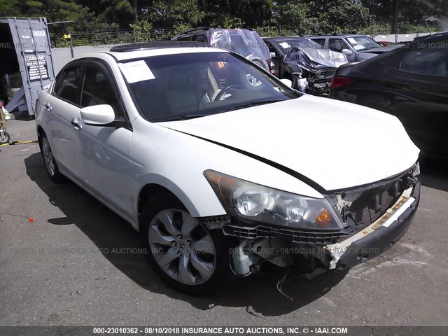 1HGCP36839A003040 - 2009 HONDA ACCORD EXL WHITE photo 1