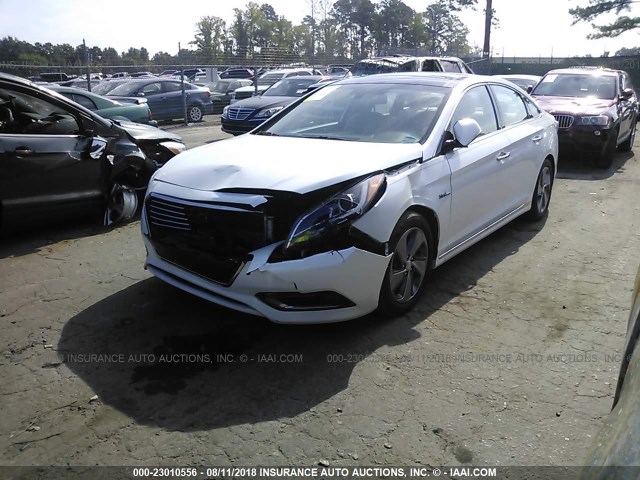 KMHE34L15GA017224 - 2016 HYUNDAI SONATA HYBRID/LIMITED WHITE photo 2